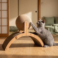 アーチ型爪とぎの上の段ボールの球に前脚をかけるグレーの猫