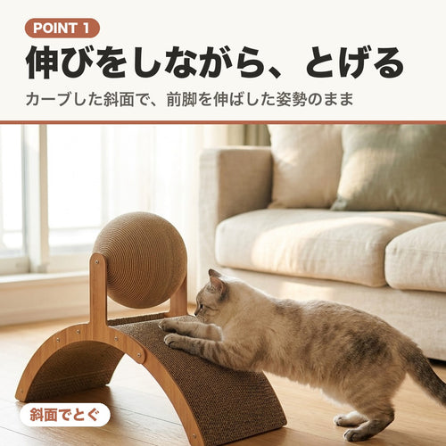 POINT 1 伸びをしながら、とげる。カーブした斜面で前脚を伸ばしてとぐ猫