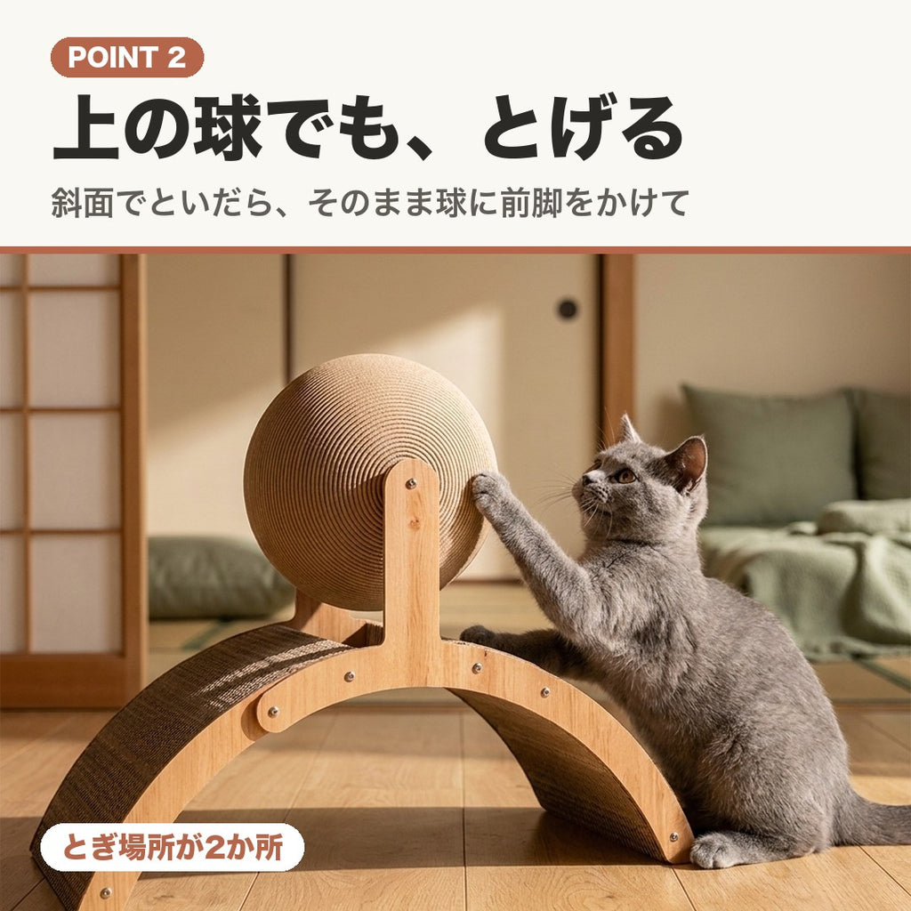 POINT 2 上の球でも、とげる。段ボールの球に前脚をかける猫