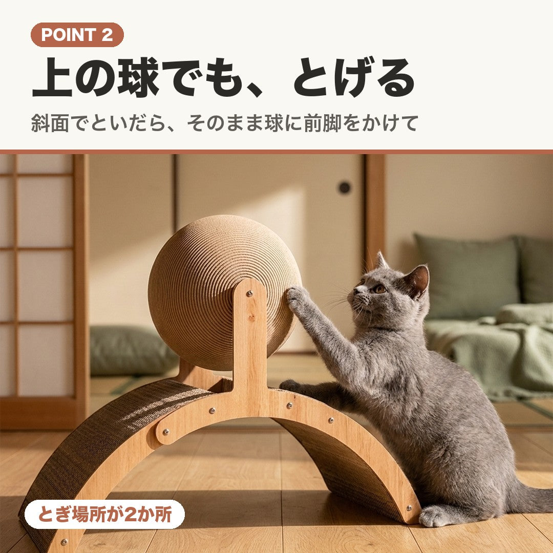 POINT 2 上の球でも、とげる。段ボールの球に前脚をかける猫