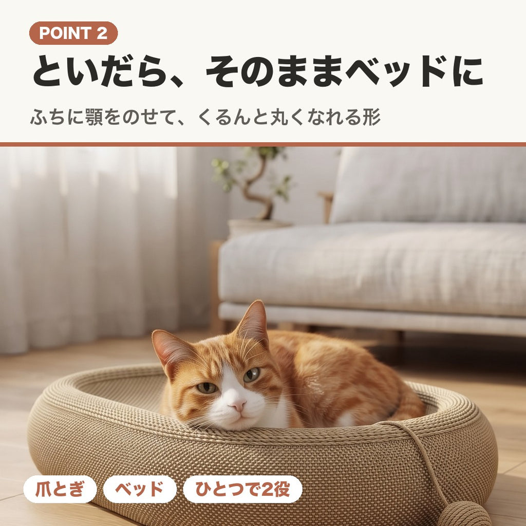 POINT2 といだら、そのままベッドに。ふちに顎をのせて丸くなる猫