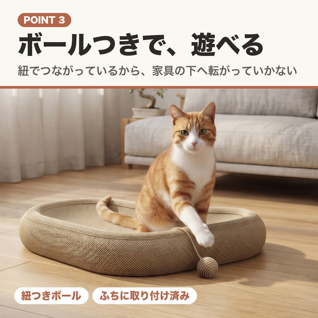 POINT3 ボールつきで遊べる。紐つきボールに前足をのばす猫