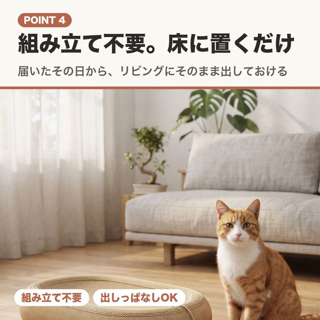 POINT4 組み立て不要。床に置くだけのベッドと猫