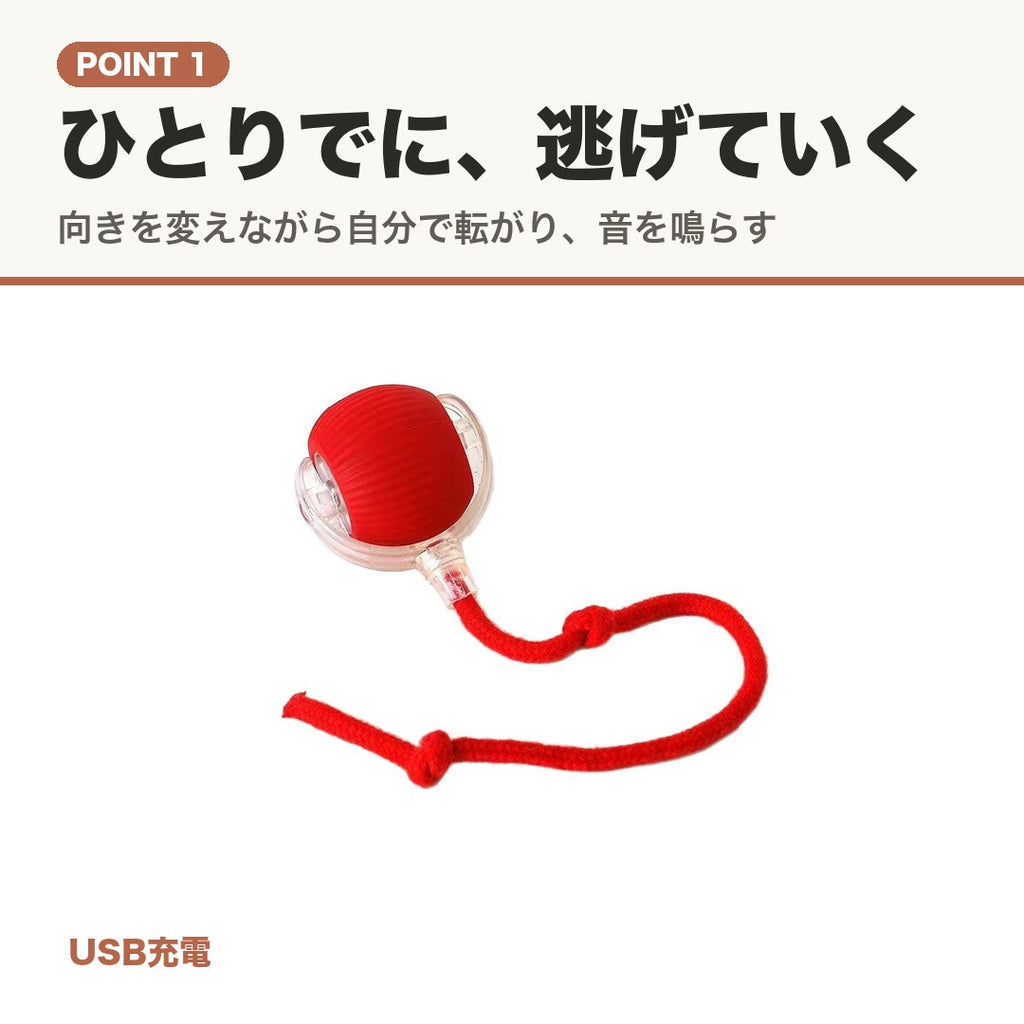 POINT 1 ひとりでに逃げていく。向きを変えながら転がるボール