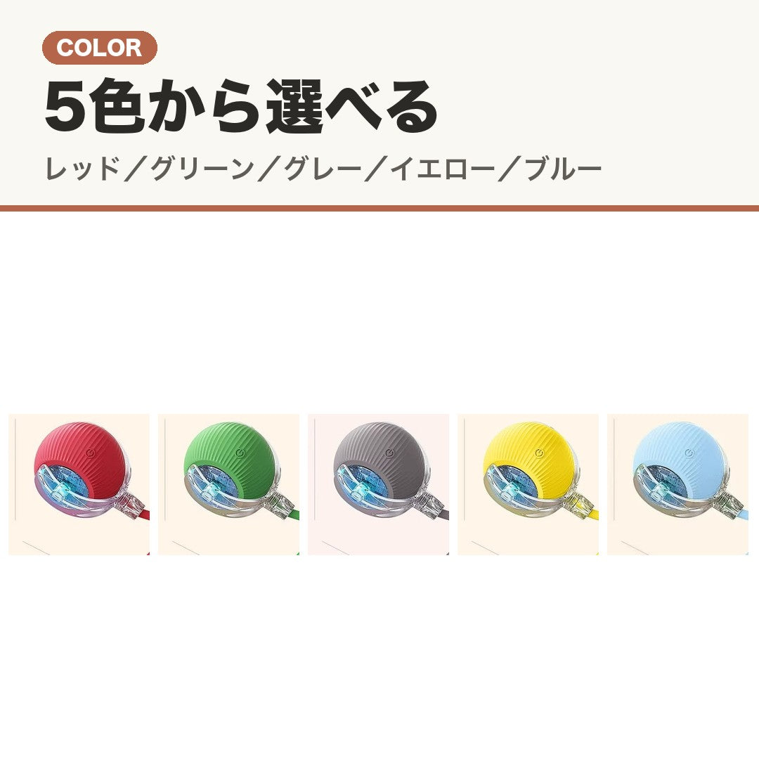 POINT カラー 5色から選べる