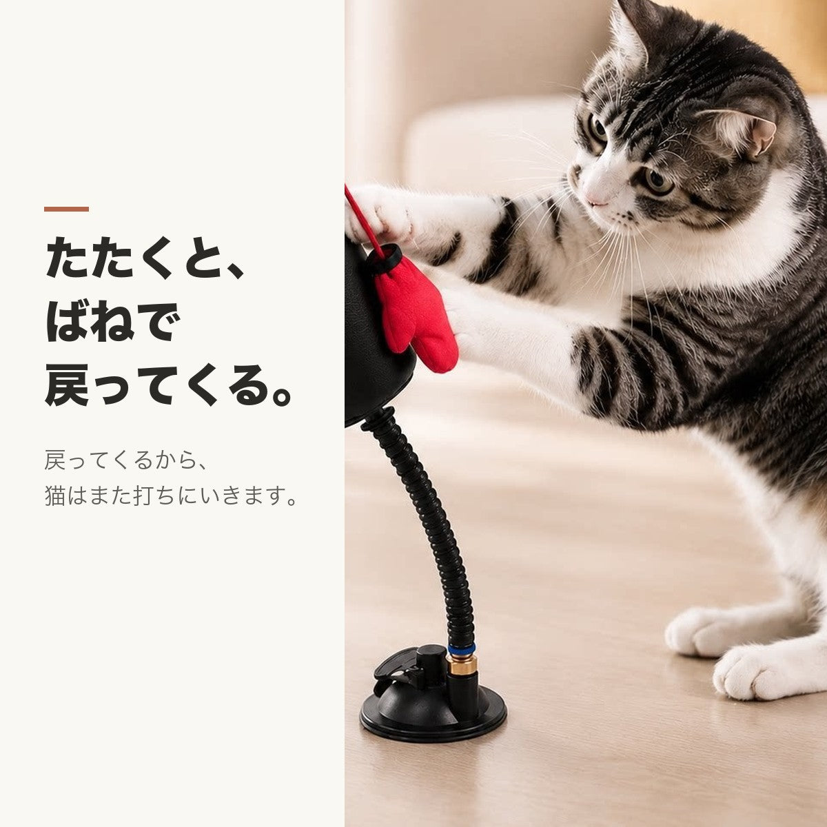 たたくとばねで戻ってくる