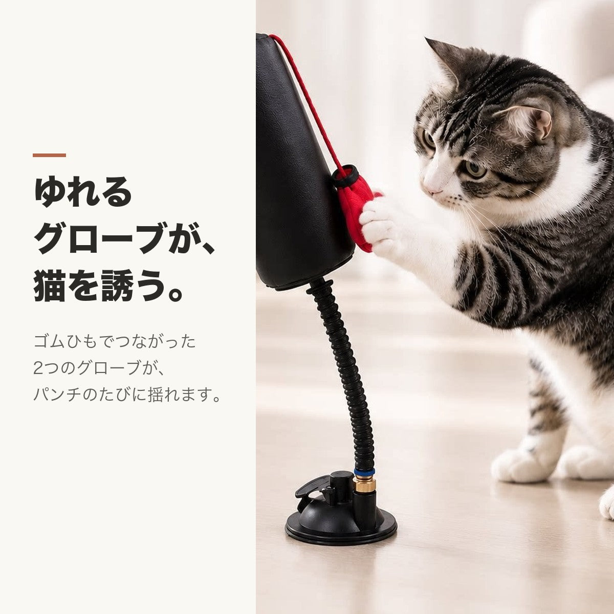 揺れるグローブが猫を誘う
